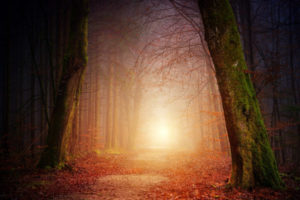 voyance pure