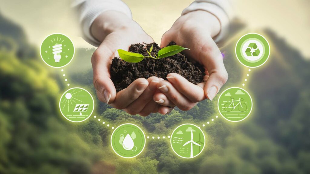 Le développement durable