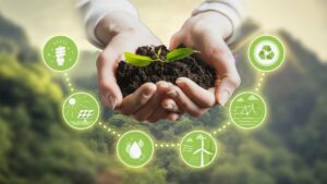 Le développement durable