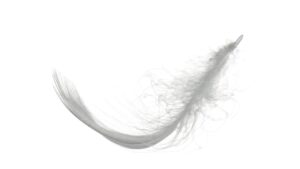 Plume